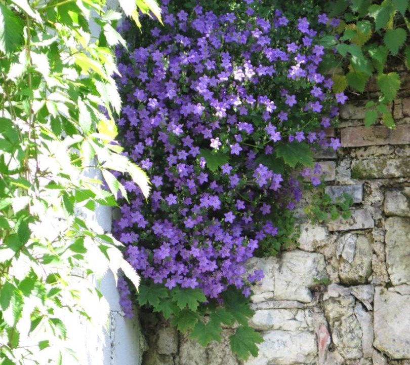 Photo of Others in Vienne-le-Chateau