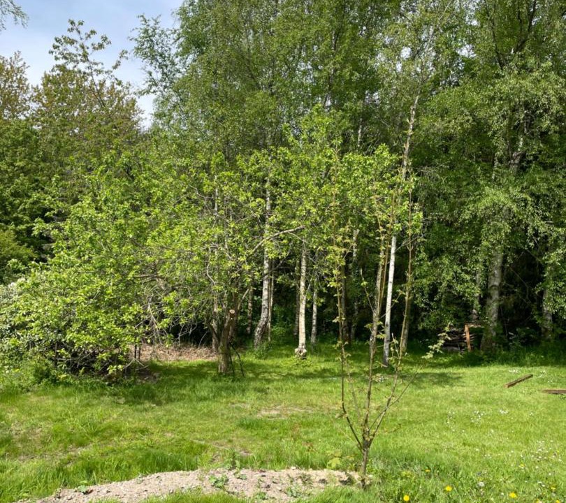 Photo of Others in Haderslev