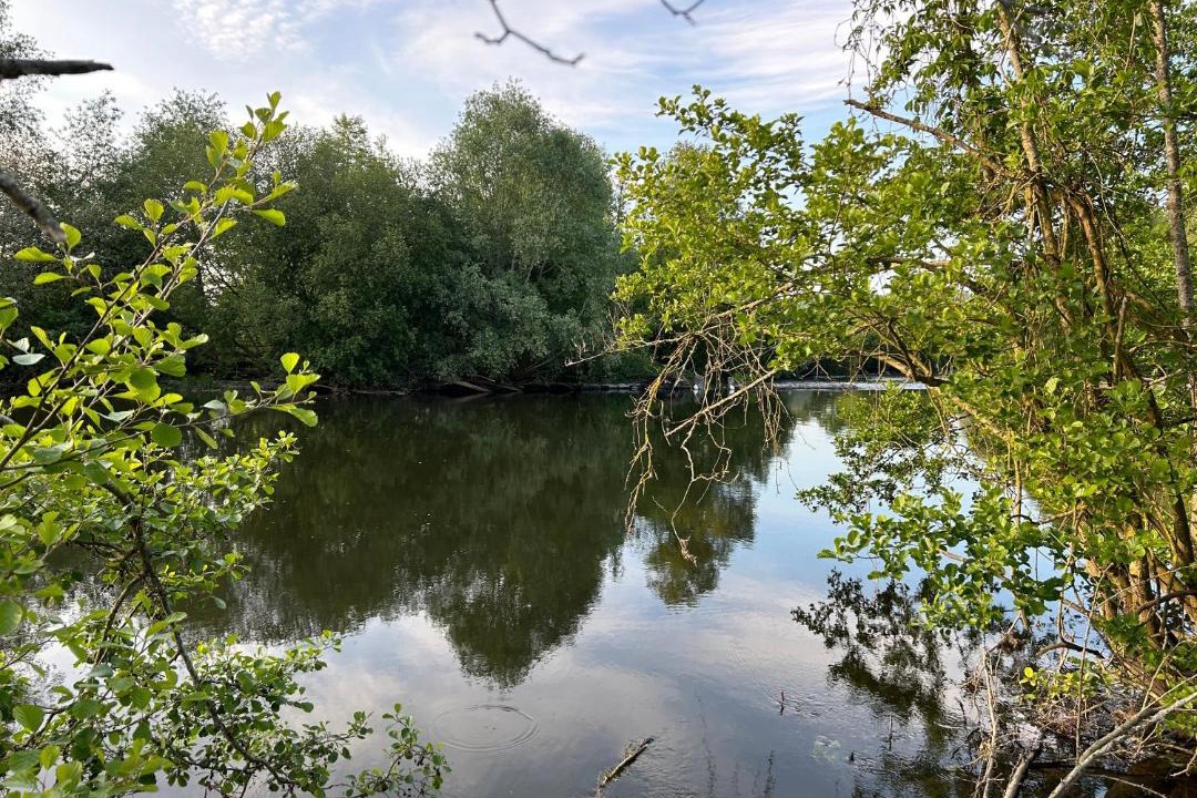 Photo of Others in Saint-Remy