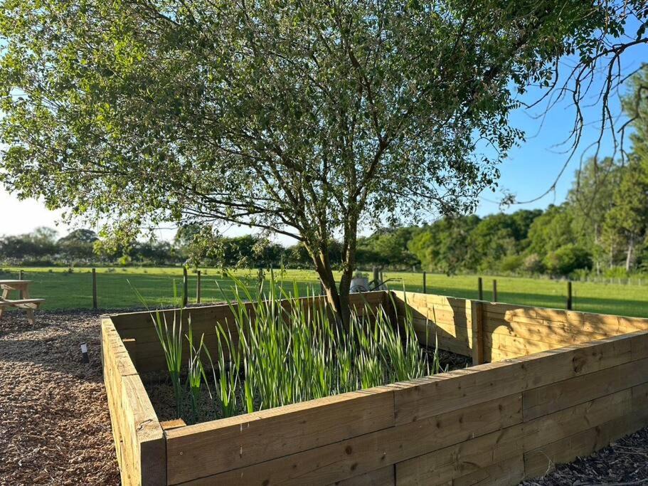 Photo of Others in Penrith