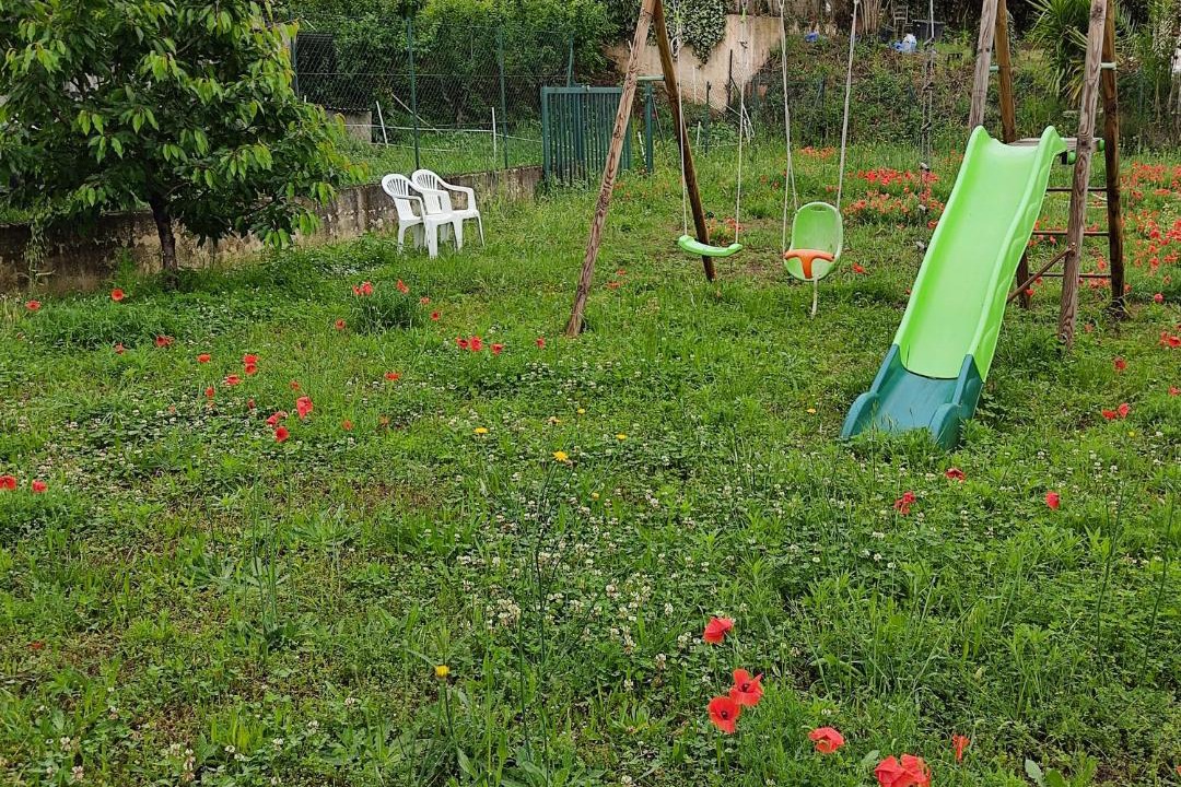 Photo of Others in Pegomas