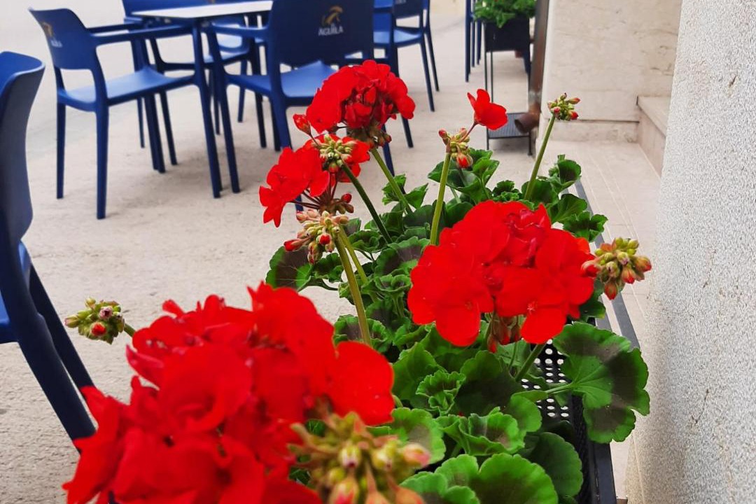 Photo of Patio Balcony in Penarroya de Tastavins