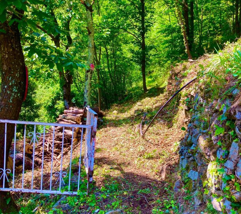 Photo of Others in Asperjoc