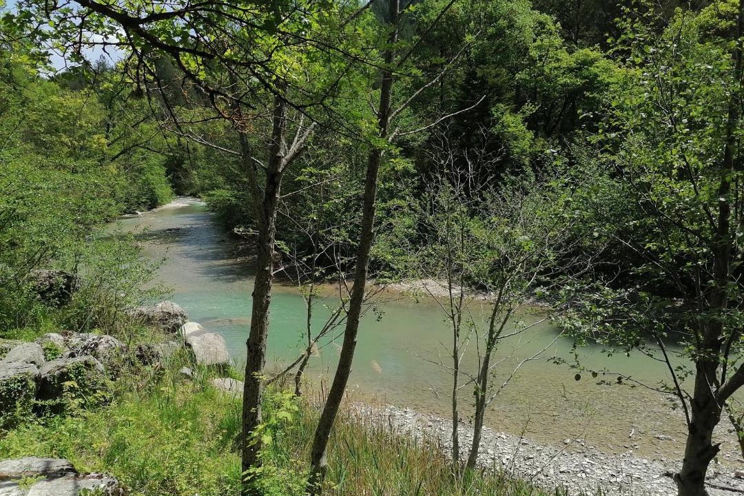 Photo of Others in La Motte-Chalancon