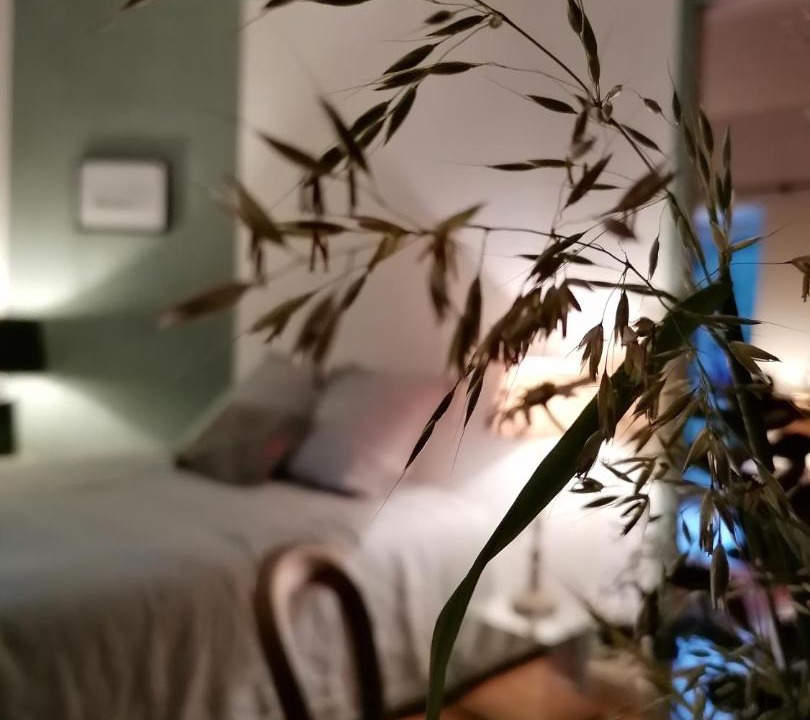 Photo of Others in Mont-pres-Chambord