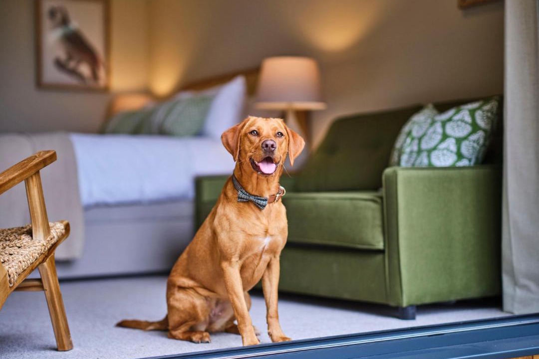 Photo of Others in Barrow