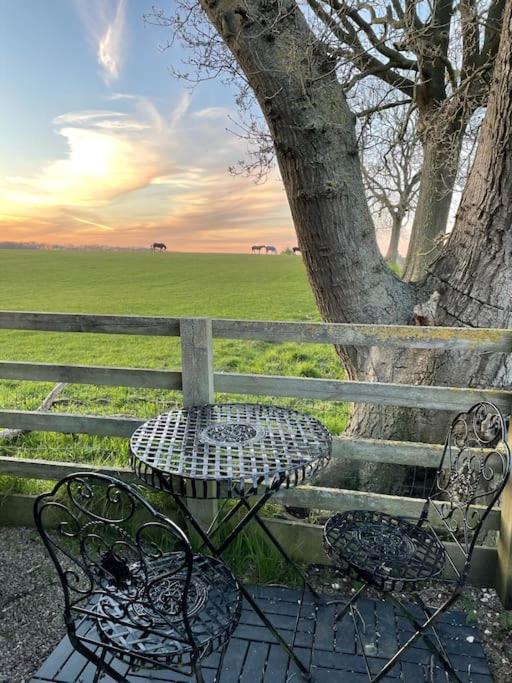 Photo of Patio Balcony in Ripley