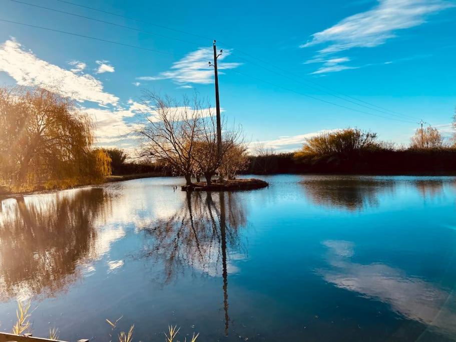 Photo of Others in Saint-Gilles