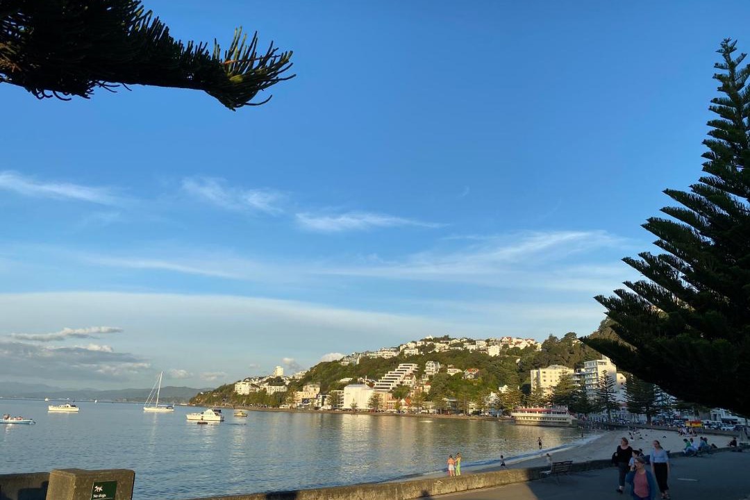 Photo of Others in Oriental Bay