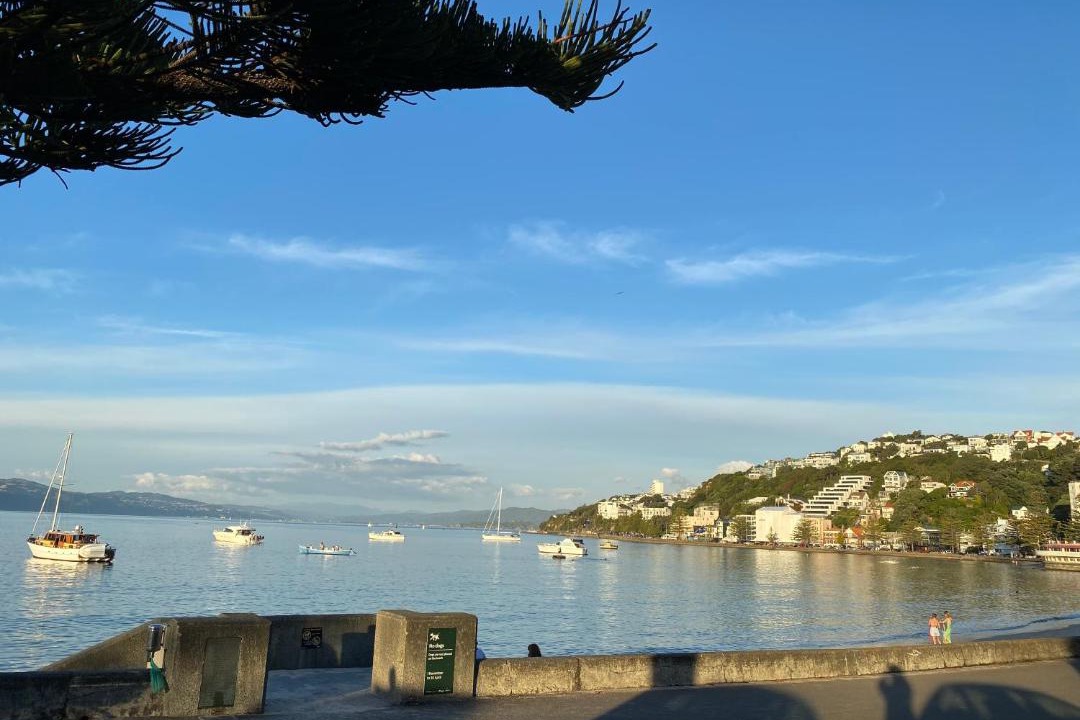 Photo of Others in Oriental Bay