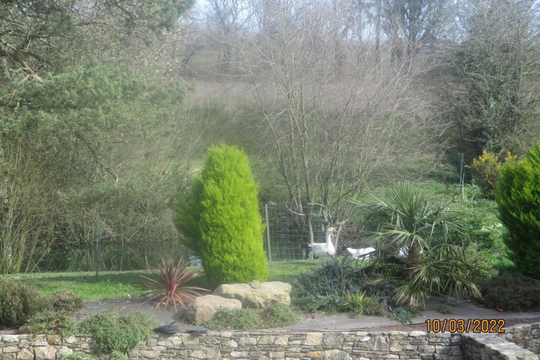 Photo of Others in Garlan