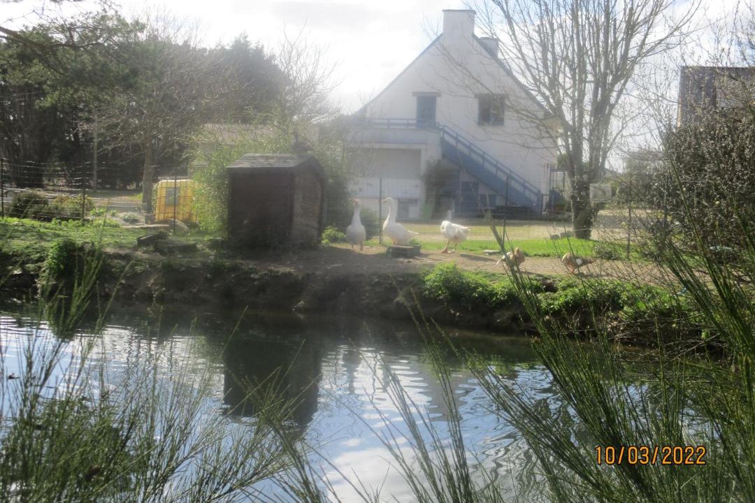 Photo of Others in Garlan