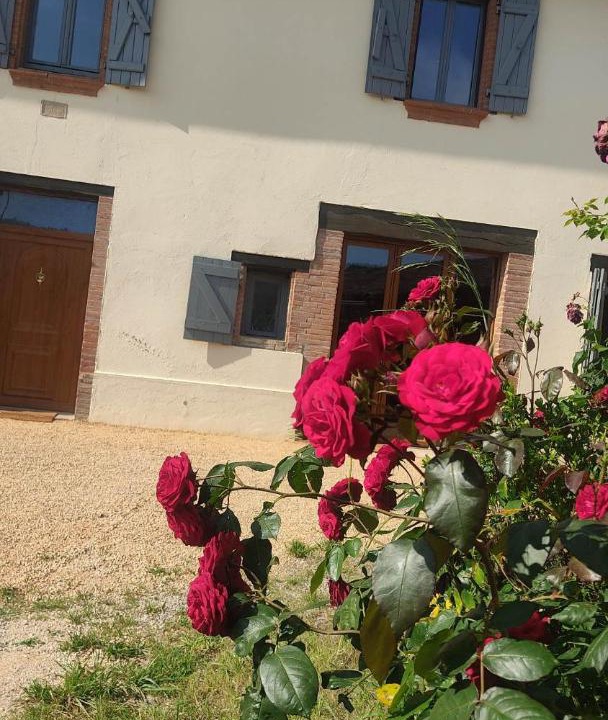 Photo of Others in La Salvetat-Belmontet