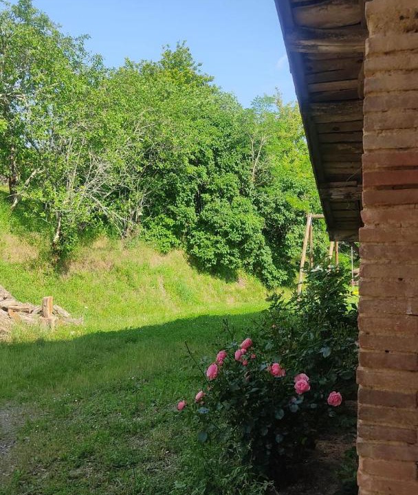 Photo of Others in La Salvetat-Belmontet