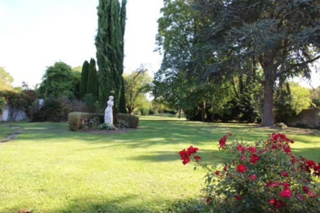Photo of Others in Douai