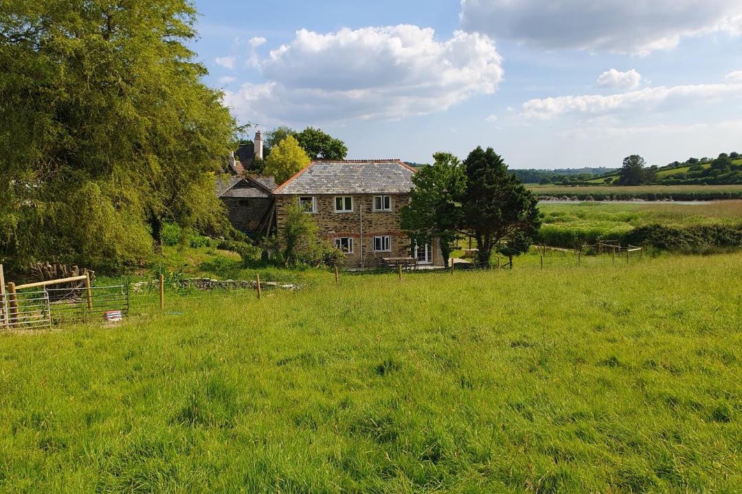 Photo of Others in Morwellham