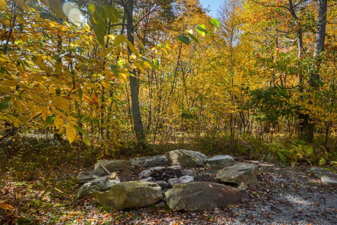 Photo of Others in McHenry