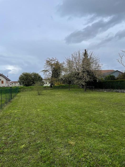 Photo of Others in Blotzheim