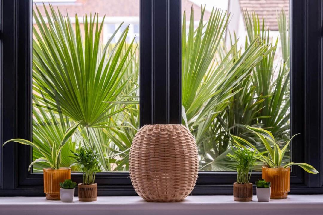 Photo of Others in Milford on Sea