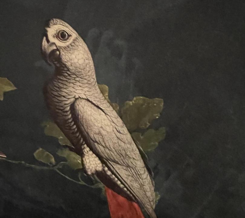 Photo of Others in Coueron