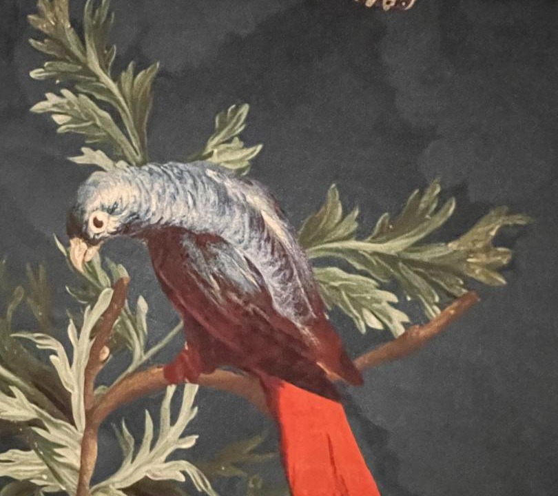 Photo of Others in Coueron