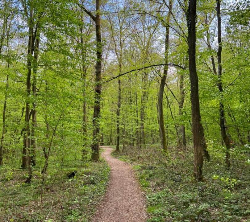 Photo of Outdoor in Macheren