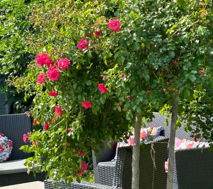 Photo of Others in Sainte-Colombe