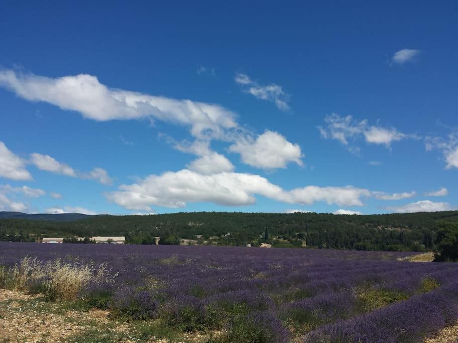 Photo of Others in Sault