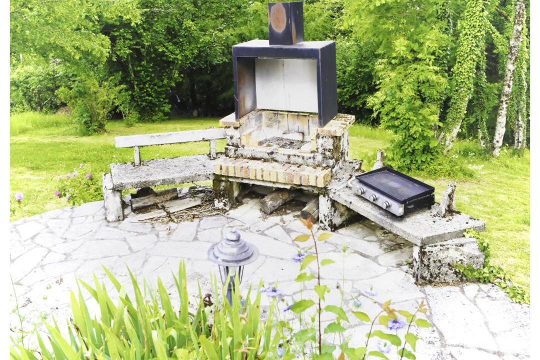 Photo of Others in Tulle