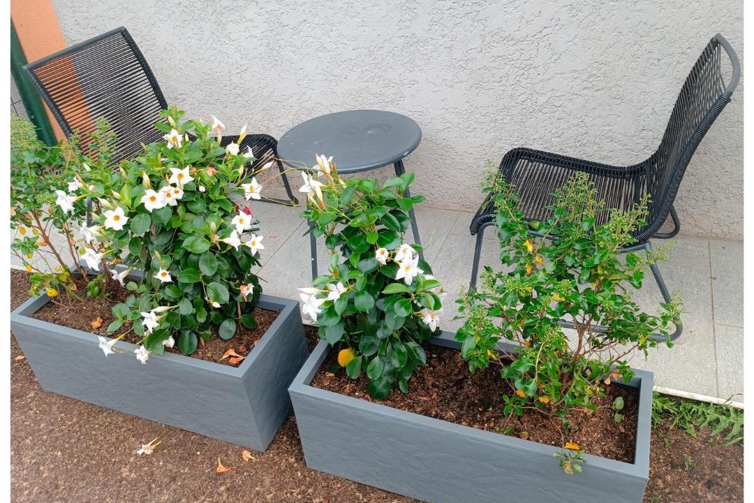 Photo of Others in Tournon-sur-Rhone