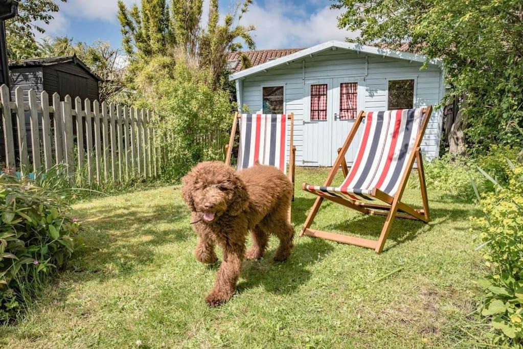 Photo of Others in Walberswick
