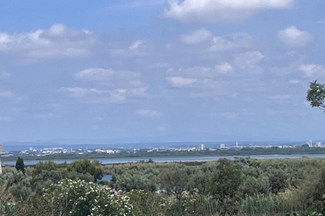 Photo of Others in Palavas-les-Flots