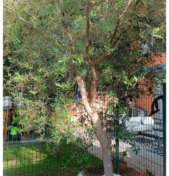 Photo of Others in Tournon-sur-Rhone