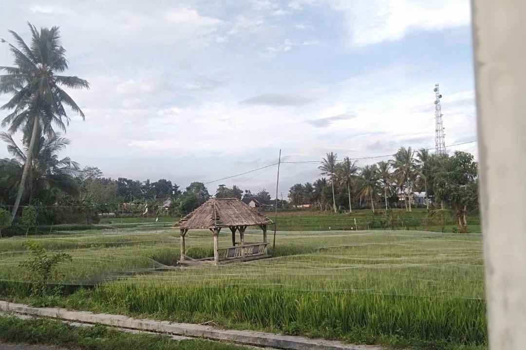 Photo of Others in Batukliang