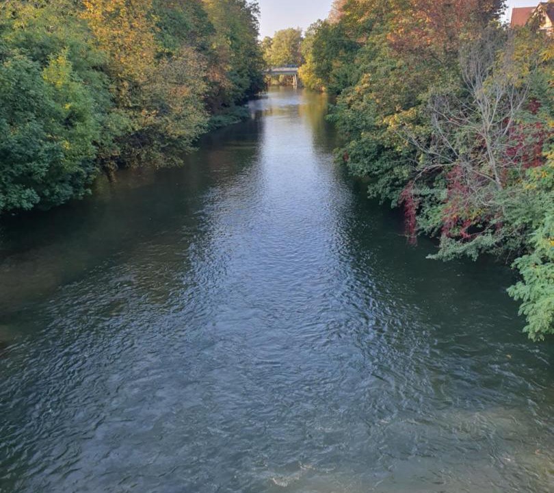 Photo of Outdoor in Ensisheim