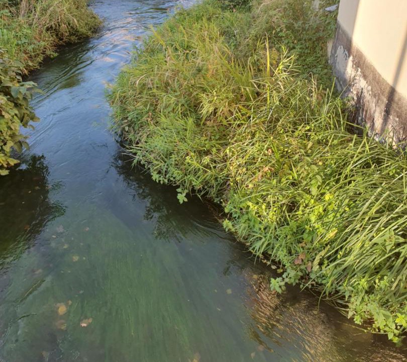 Photo of Outdoor in Ensisheim