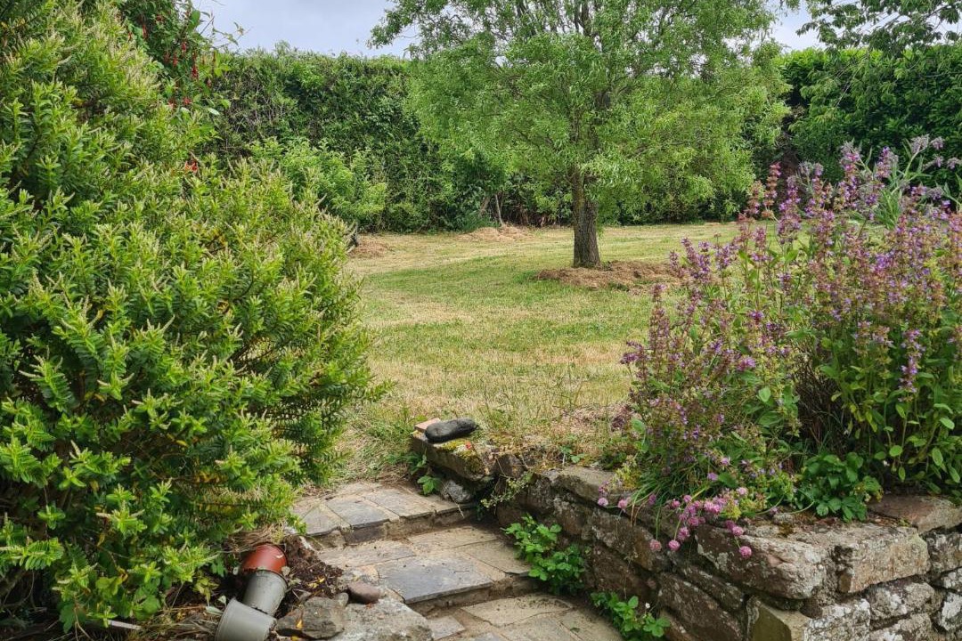 Photo of Others in Hambye