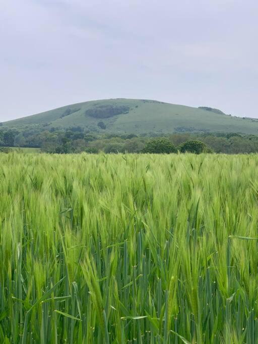 Photo of Others in Hurstpierpoint