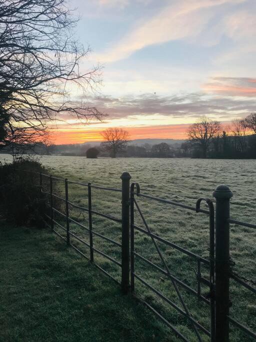 Photo of Others in Hurstpierpoint