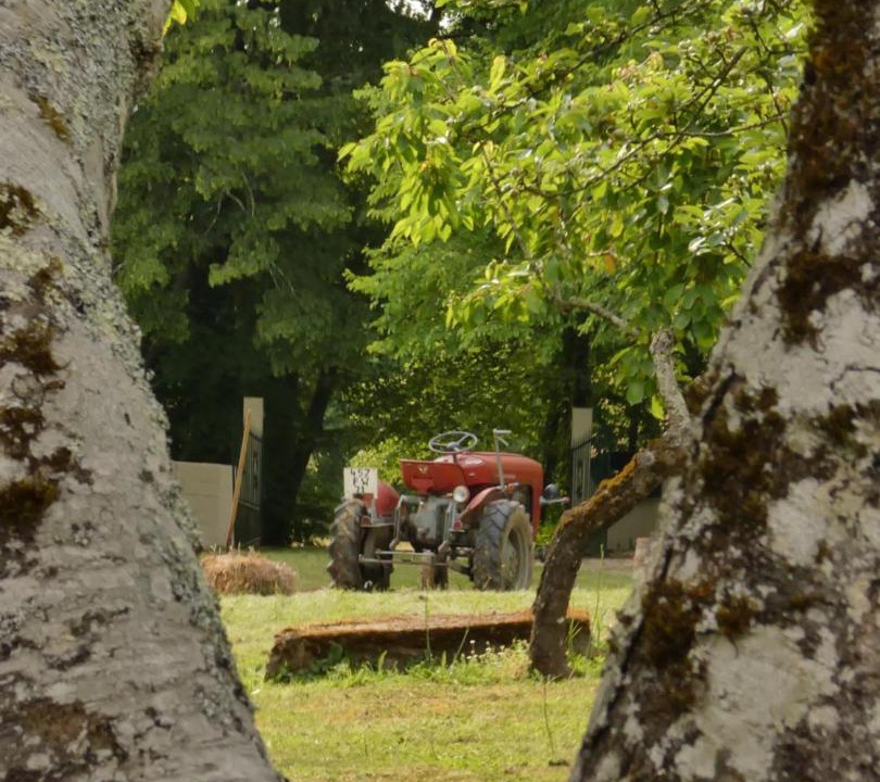 Photo of Others in Montcony