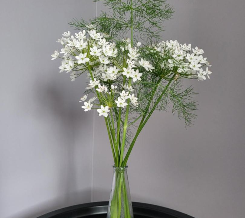 Photo of Others in Creances