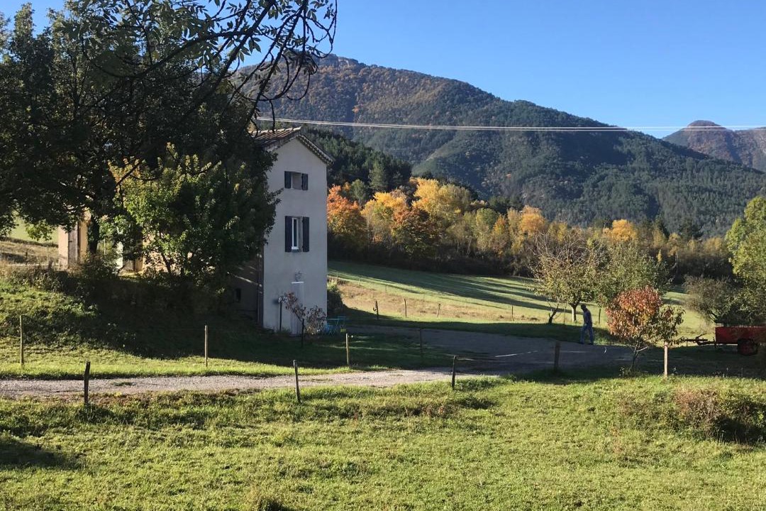 Photo of Others in Die