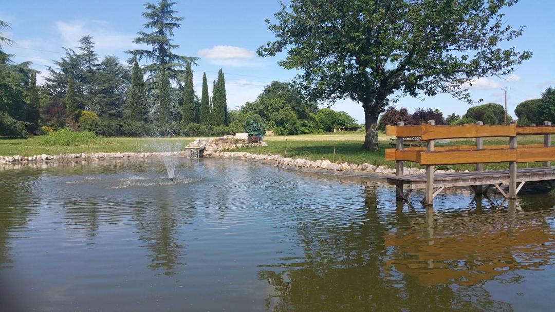 Photo of Others in Lisle-sur-Tarn