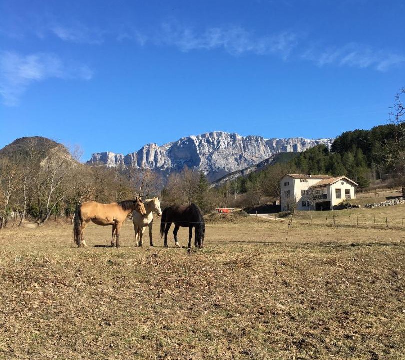 Photo of Others in Die