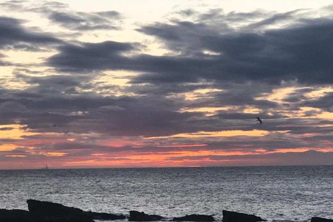 Photo of Others in Cellardyke