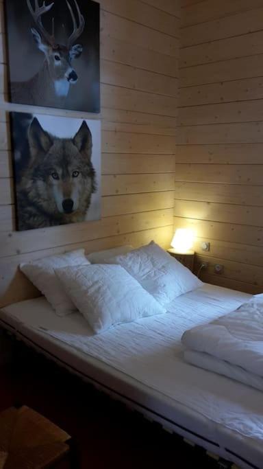 Photo of Bedroom in Saint-Sauveur-Camprieu