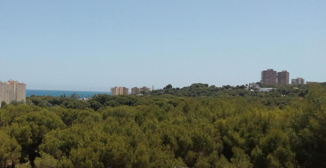 Photo of Others in Dehesa de Campoamor