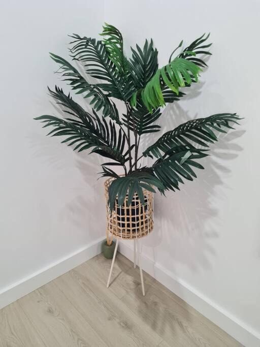 Photo of Others in Sunshine