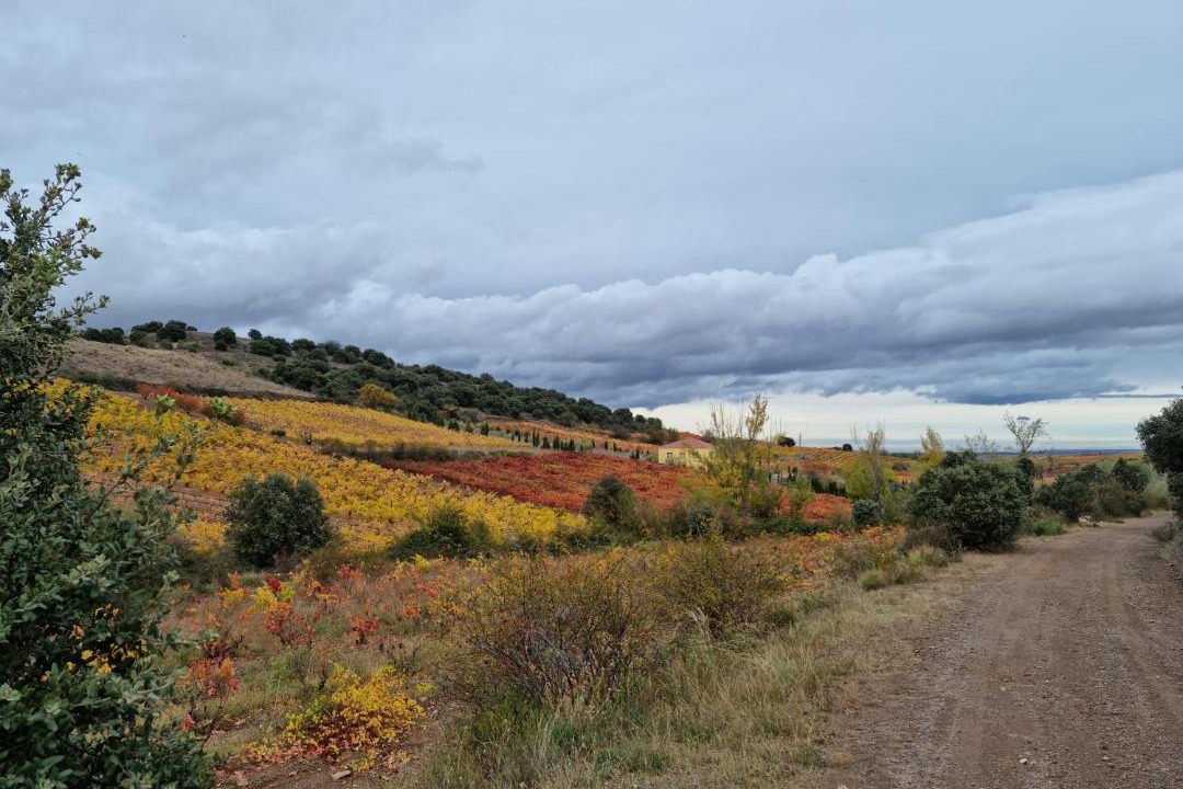 Photo of Outdoor in Carinena