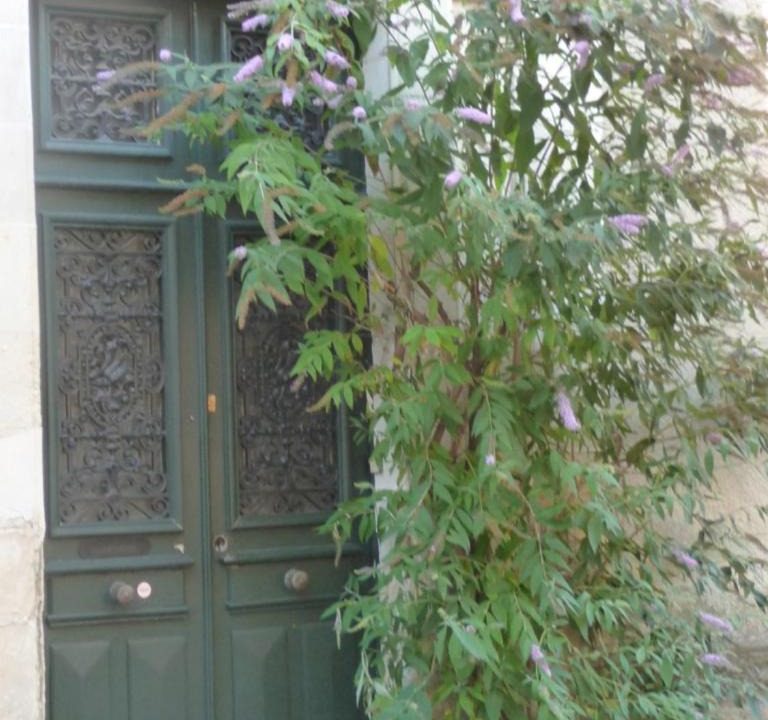 Photo of Others in La Fleche